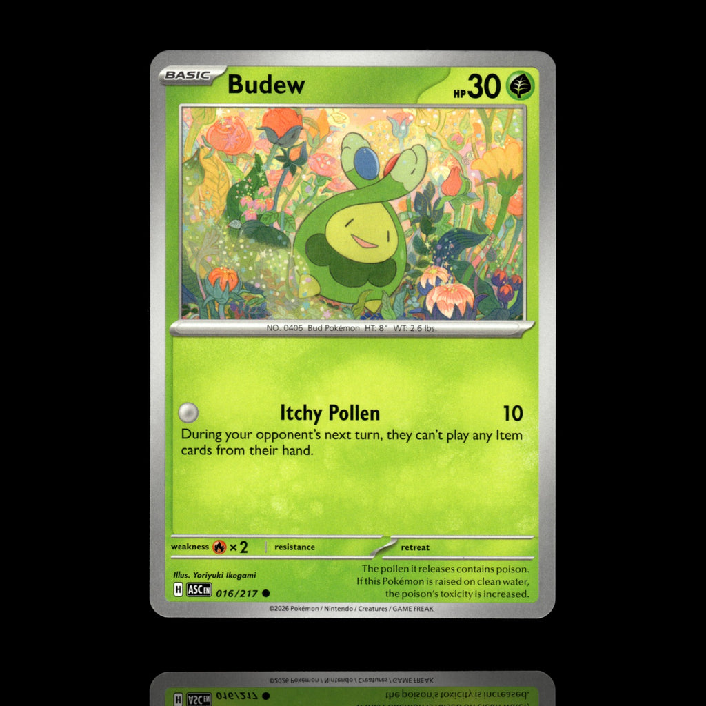 ▸ Budew | ME: Ascended Heroes | Common | 016/217 | NM