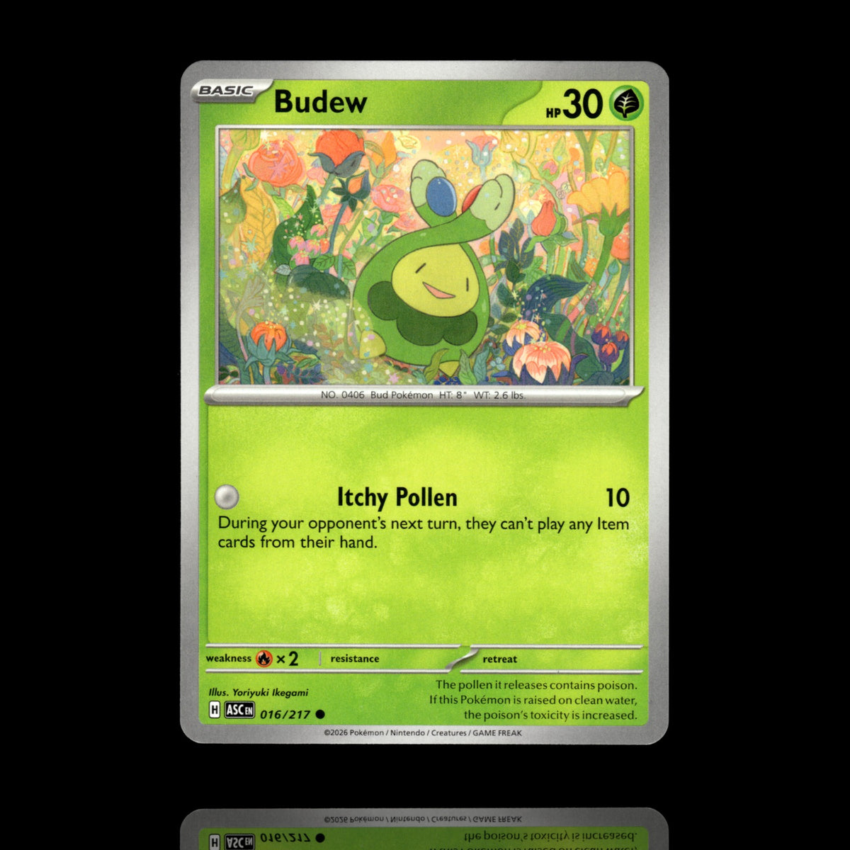 ▸ Budew | ME: Ascended Heroes | Common | 016/217 | NM