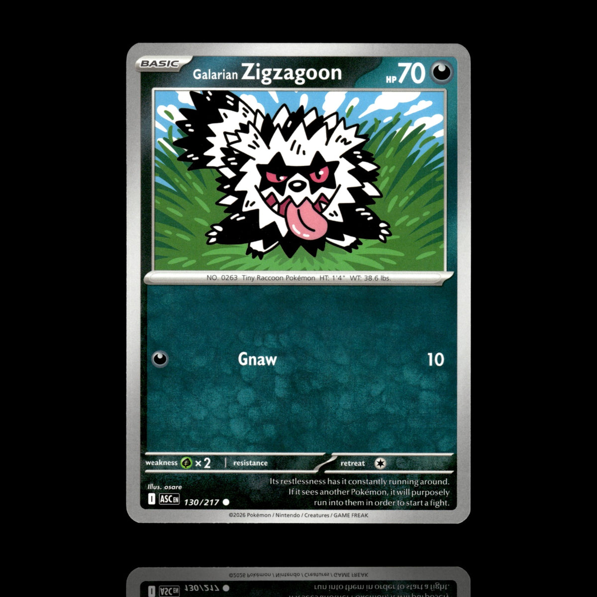▸ Galarian Zigzagoon | ME: Ascended Heroes | Common | 130/217 | NM