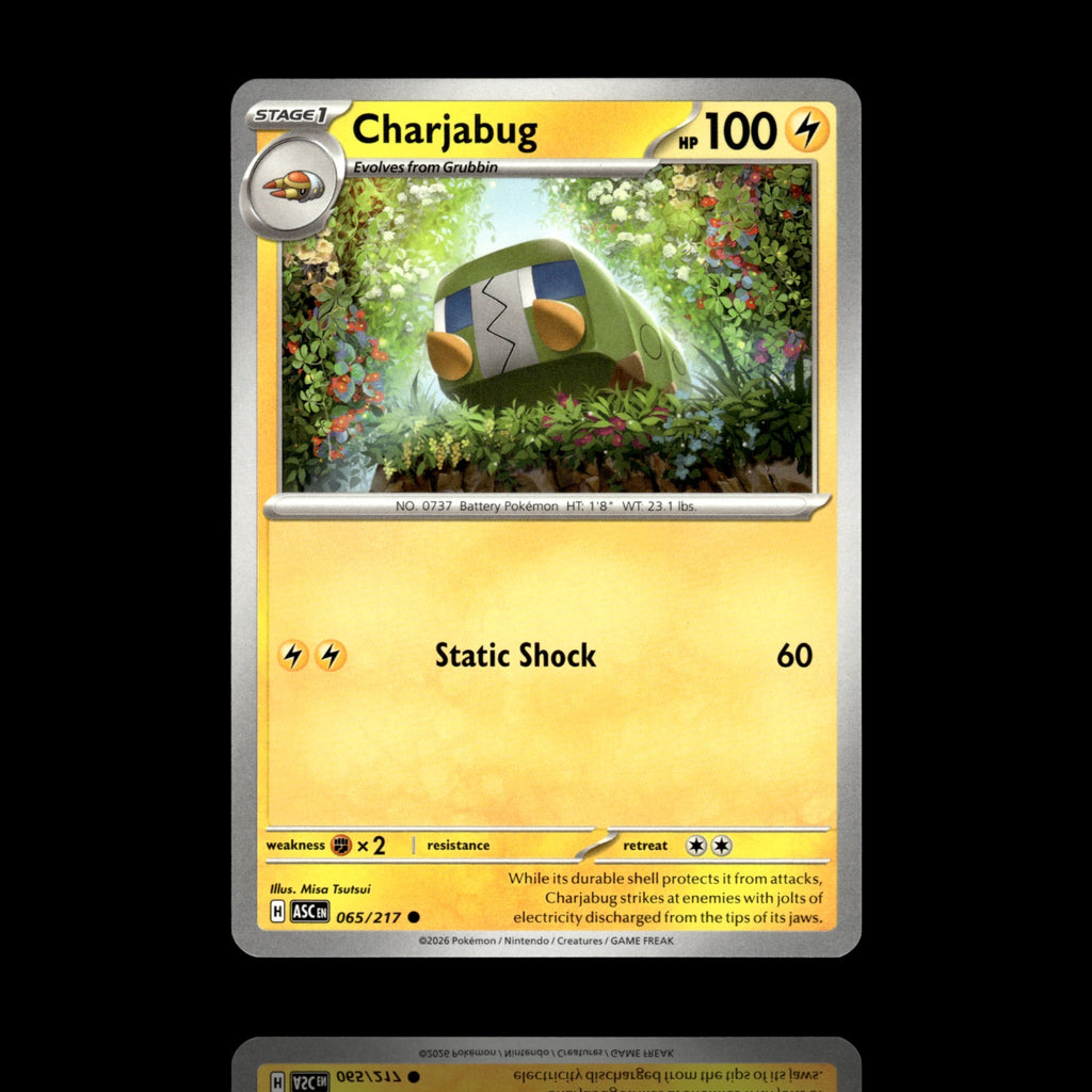 ▸ Charjabug | ME: Ascended Heroes | Common | 065/217 | NM