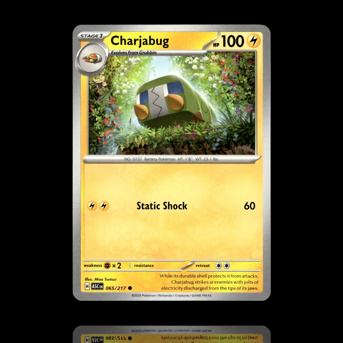 ▸ Charjabug | ME: Ascended Heroes | Common | 065/217 | NM