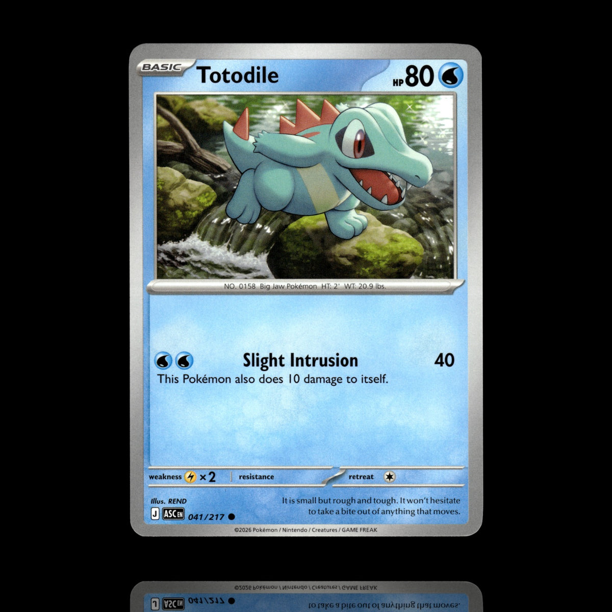 ▸ Totodile | ME: Ascended Heroes | Common | 041/217 | NM