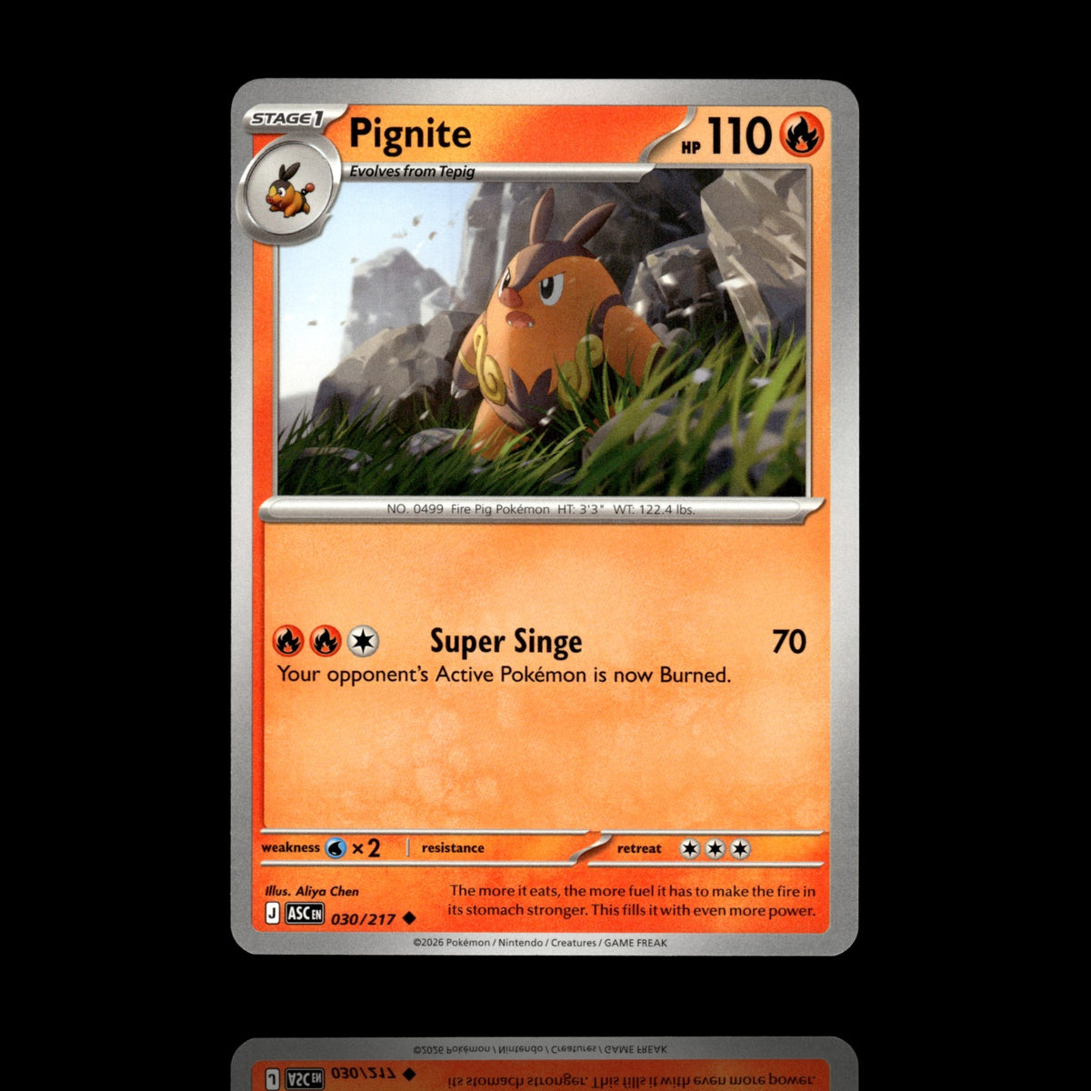 ▸ Pignite | ME: Ascended Heroes | Uncommon | 030/217 | NM