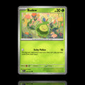 ▸ Budew | ME: Ascended Heroes | Common | 016/217 | NM