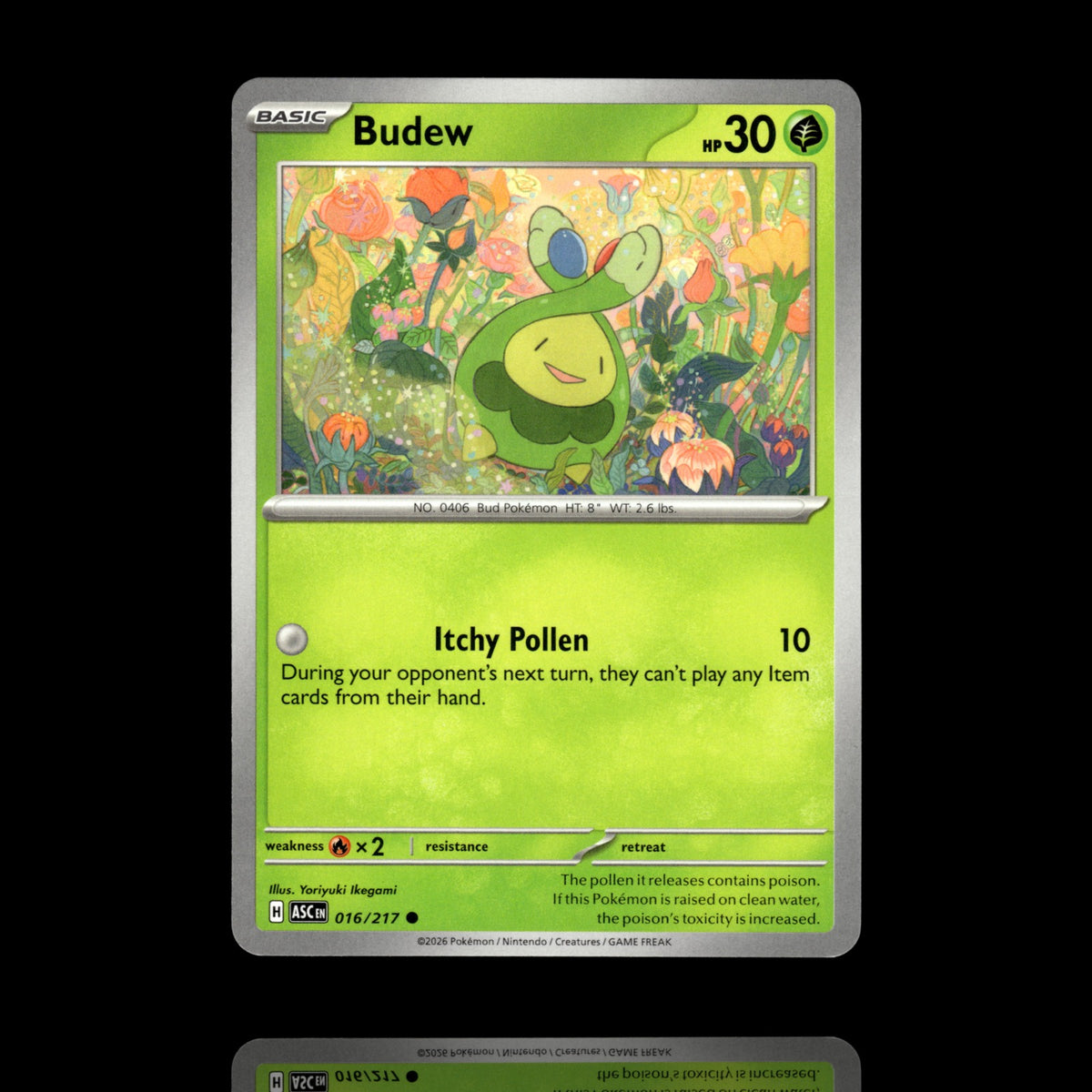 ▸ Budew | ME: Ascended Heroes | Common | 016/217 | NM
