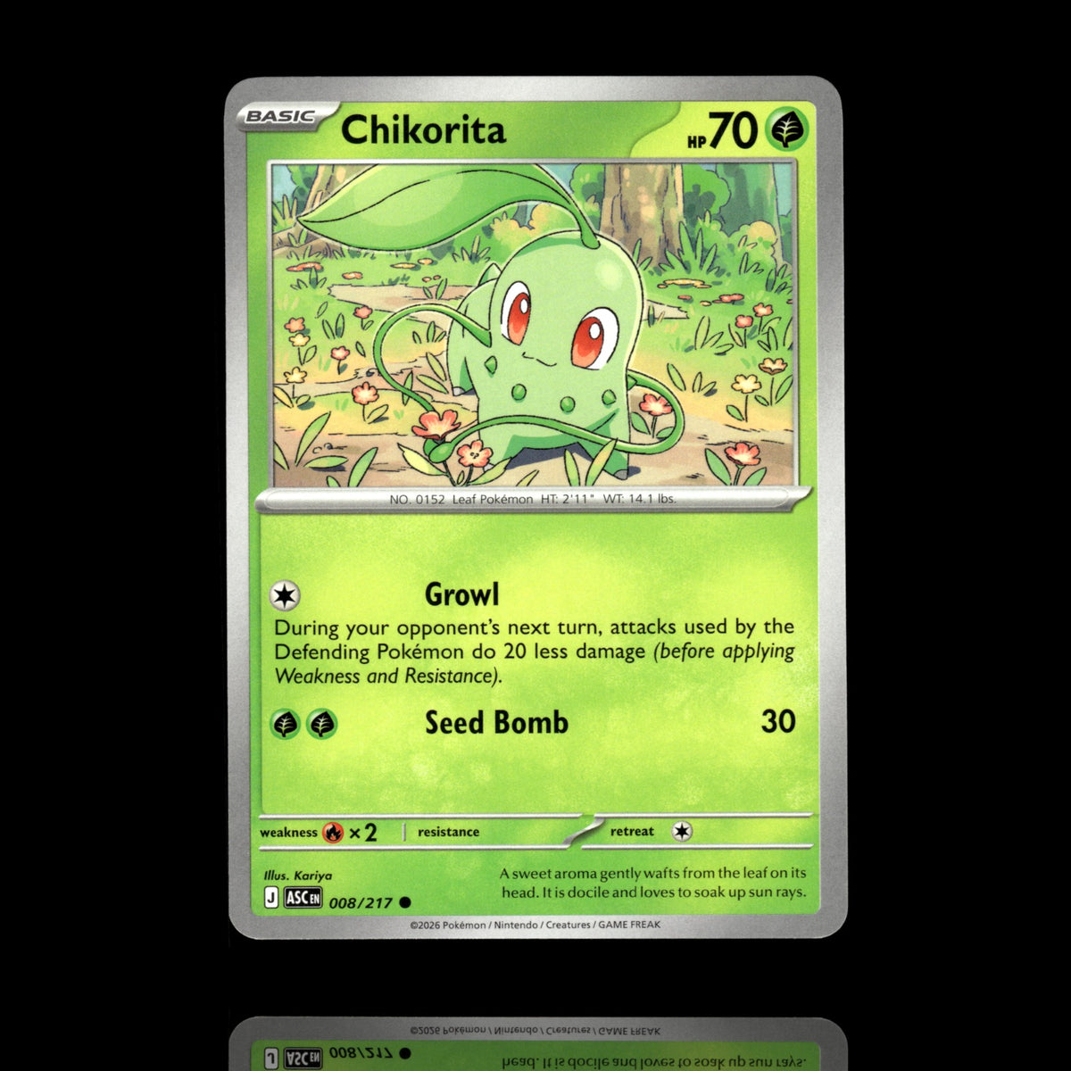 ▸ Chikorita | ME: Ascended Heroes | Common | 008/217 | NM