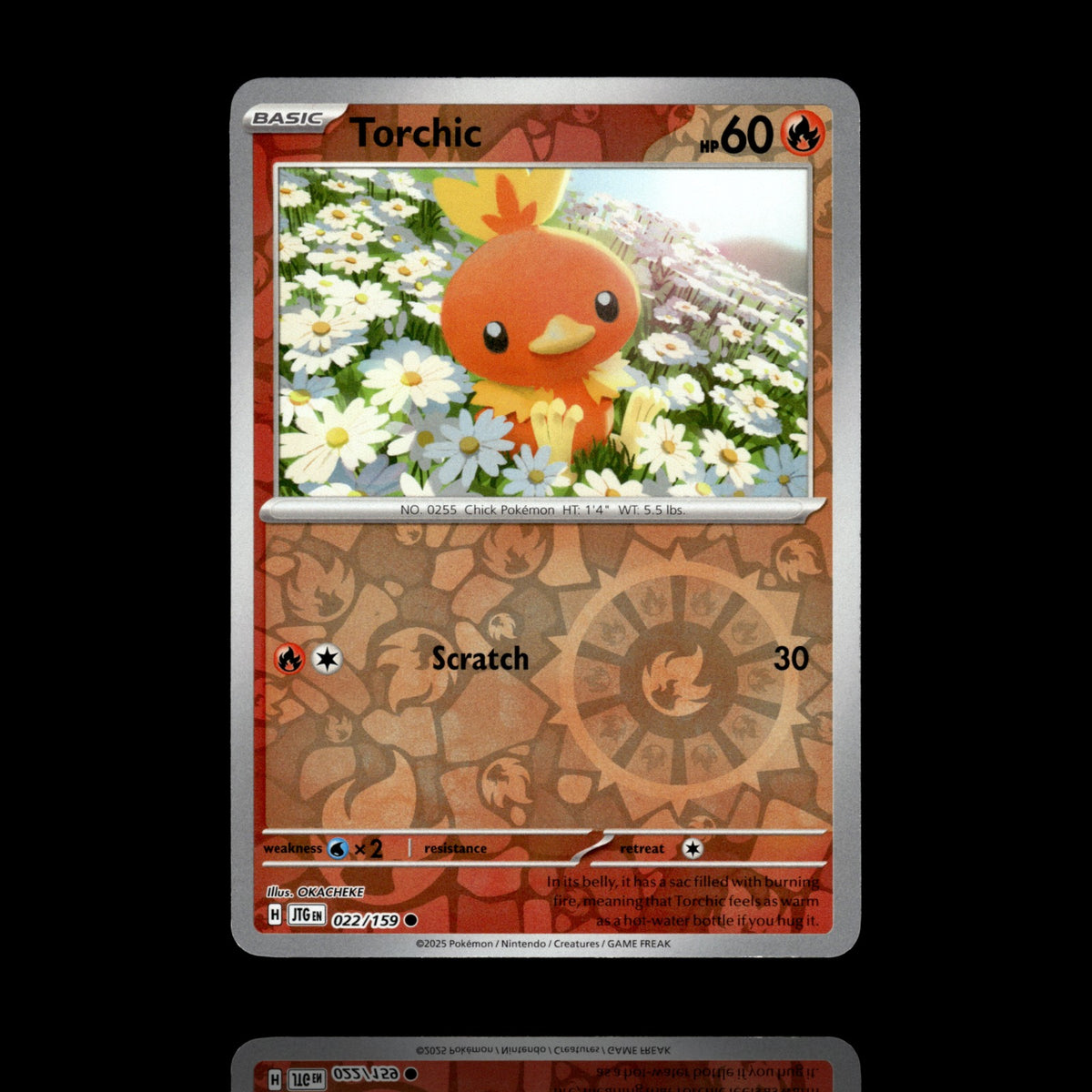 ▸ Torchic | SV09: Journey Together | Reverse Holo | 022/159 | NM