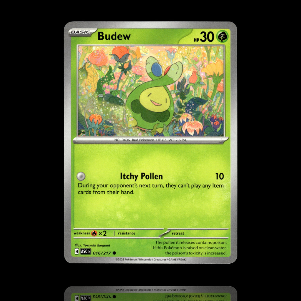 ▸ Budew | ME: Ascended Heroes | Common | 016/217 | NM