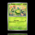 ▸ Budew | ME: Ascended Heroes | Common | 016/217 | NM