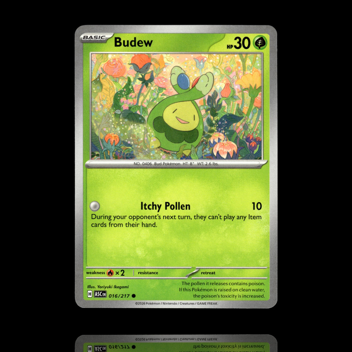 ▸ Budew | ME: Ascended Heroes | Common | 016/217 | NM
