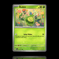 ▸ Budew | ME: Ascended Heroes | Common | 016/217 | NM