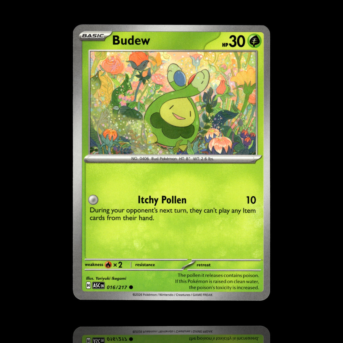 ▸ Budew | ME: Ascended Heroes | Common | 016/217 | NM