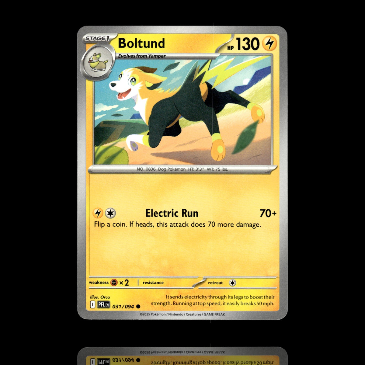 ▸ Boltund | ME02: Phantasmal Flames | Common | 031/094 | NM