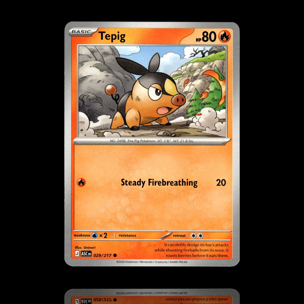 ▸ Tepig | ME: Ascended Heroes | Common | 029/217 | NM