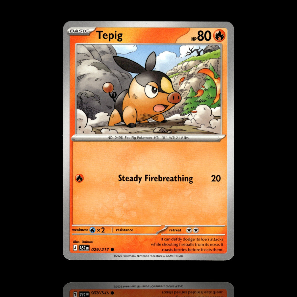 ▸ Tepig | ME: Ascended Heroes | Common | 029/217 | NM