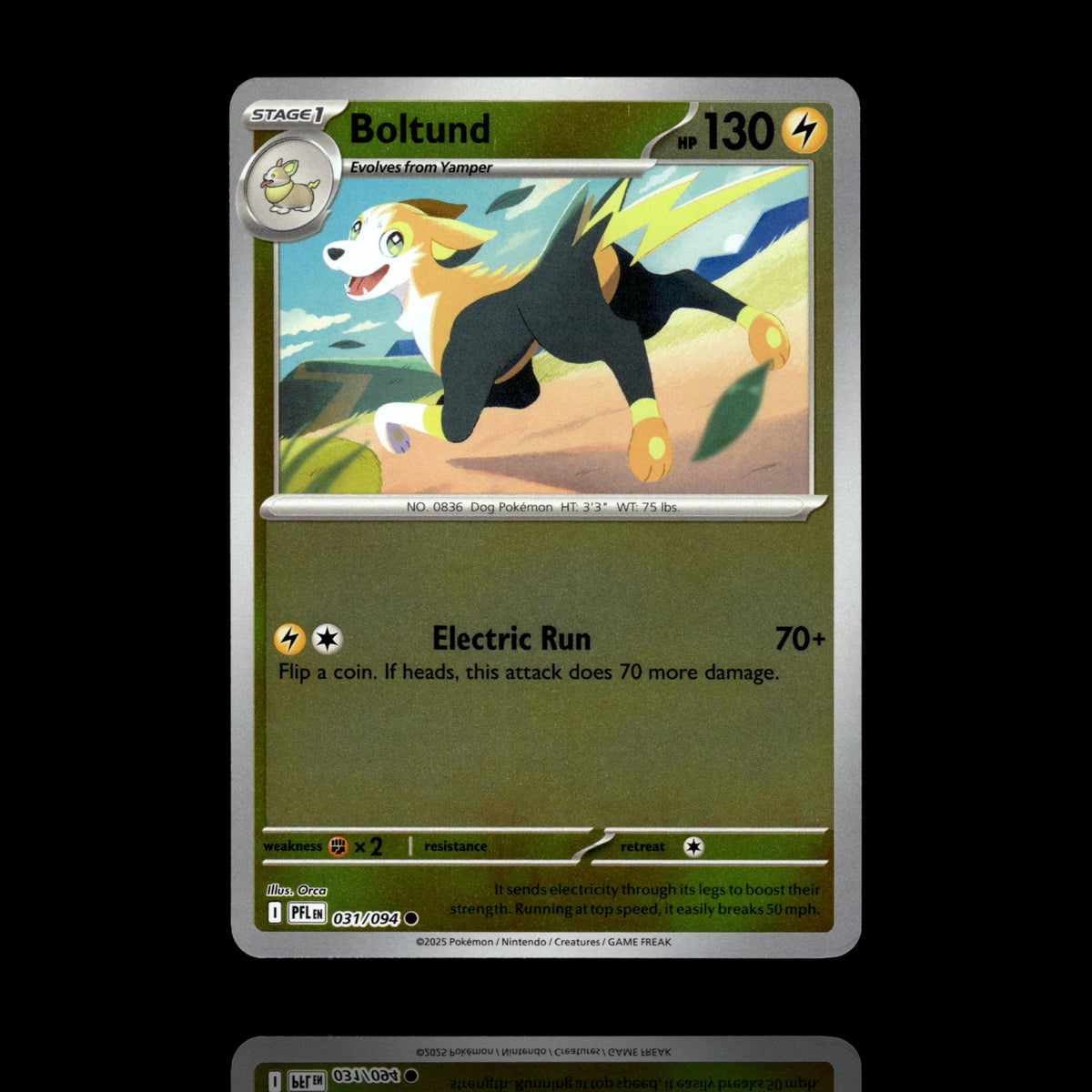 ▸ Boltund | ME02: Phantasmal Flames | Reverse Holo | 031/094 | NM